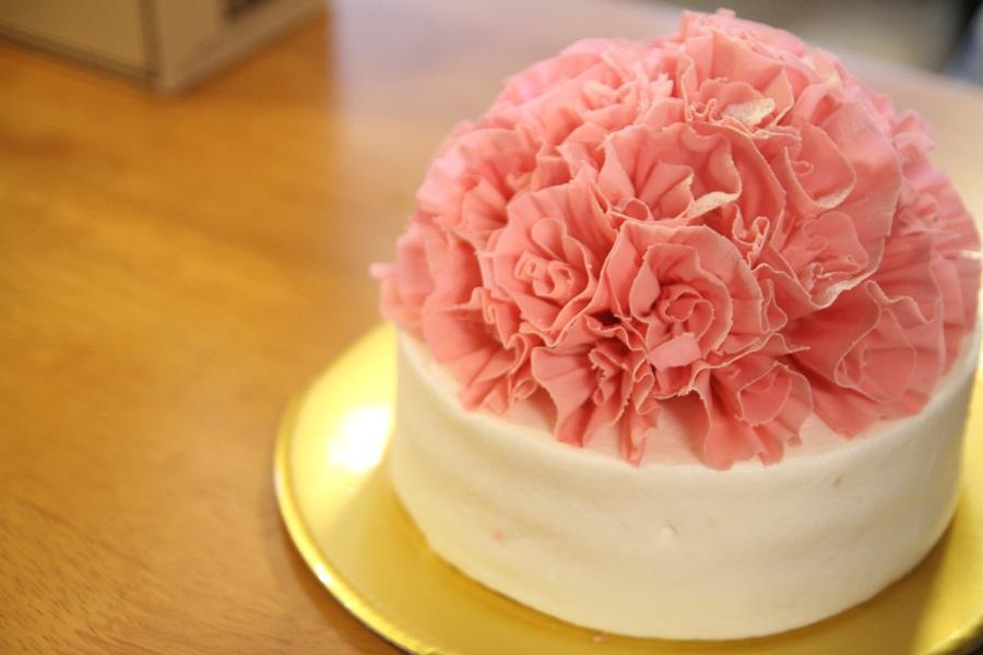 The History of the Carnation Flower - The London Cake Academy